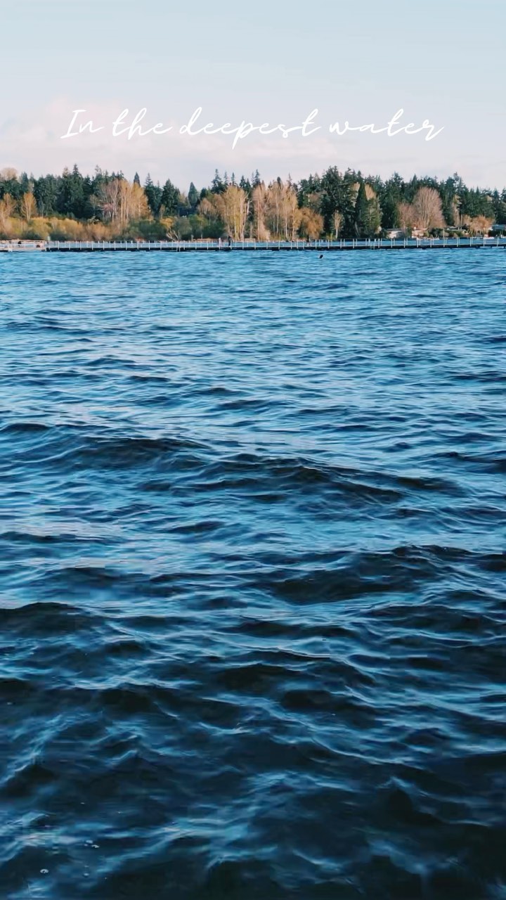 Seattle Waters